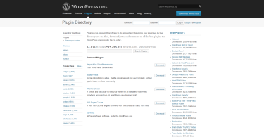 WordPress pluginy
