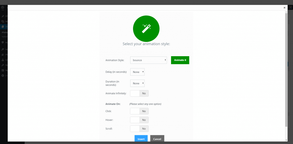 Vložení animace