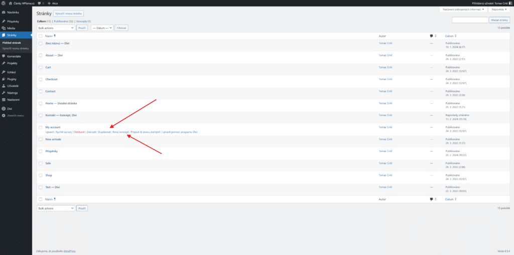Kopírování příspěvku ve WordPress