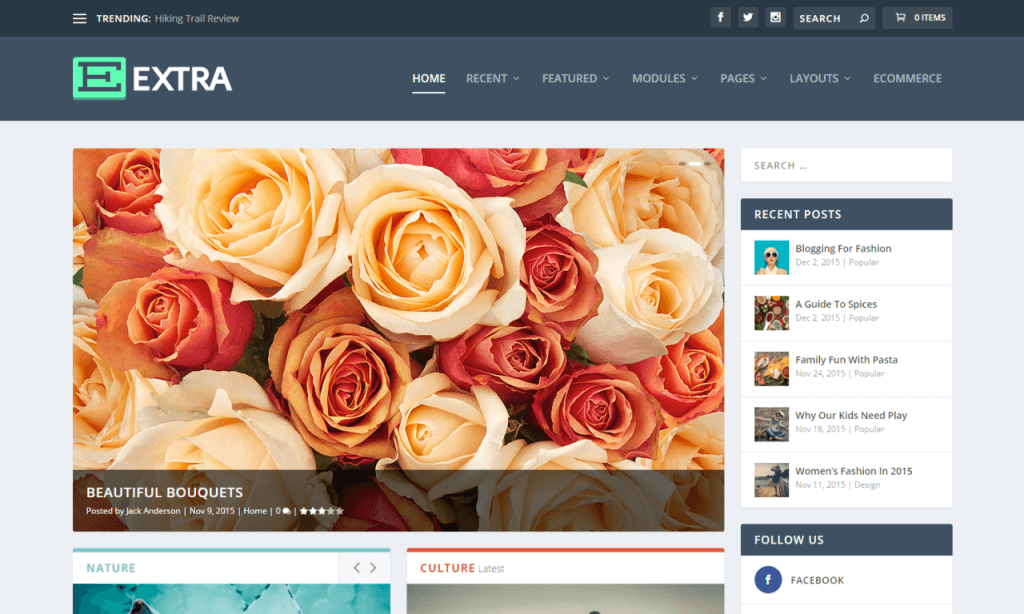 Extra-Theme-Just-another-WordPress-site-1280x768