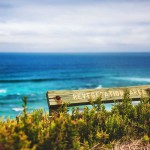 201605-yernju-michal-kaspar-shrub-ocean-sign