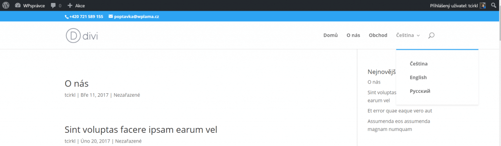 Zobrazené jmeno jazyka jako dropdown