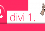 průvodce nastavením divi 1