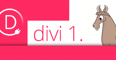 průvodce nastavením divi 1