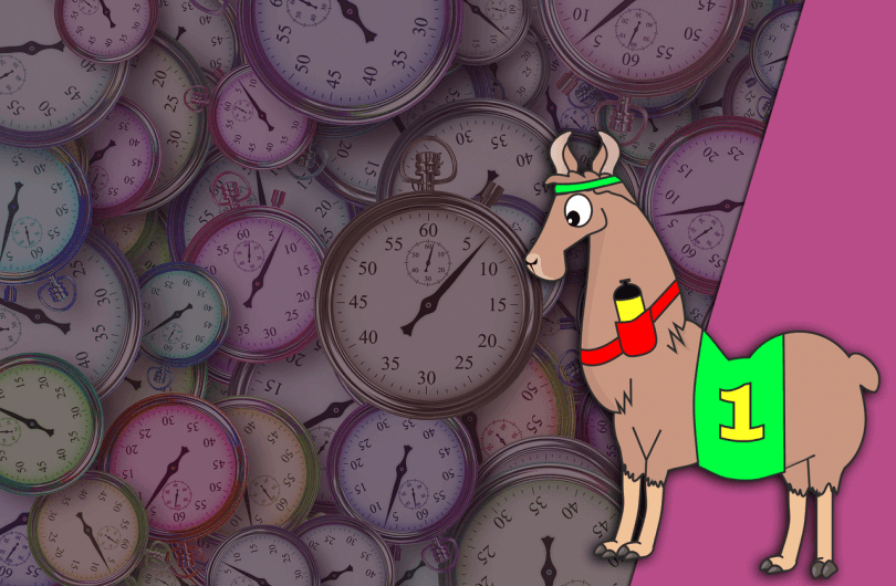 optimalizace rychlosti a výkonu WordPress stránky