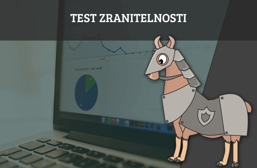 zranitelnost