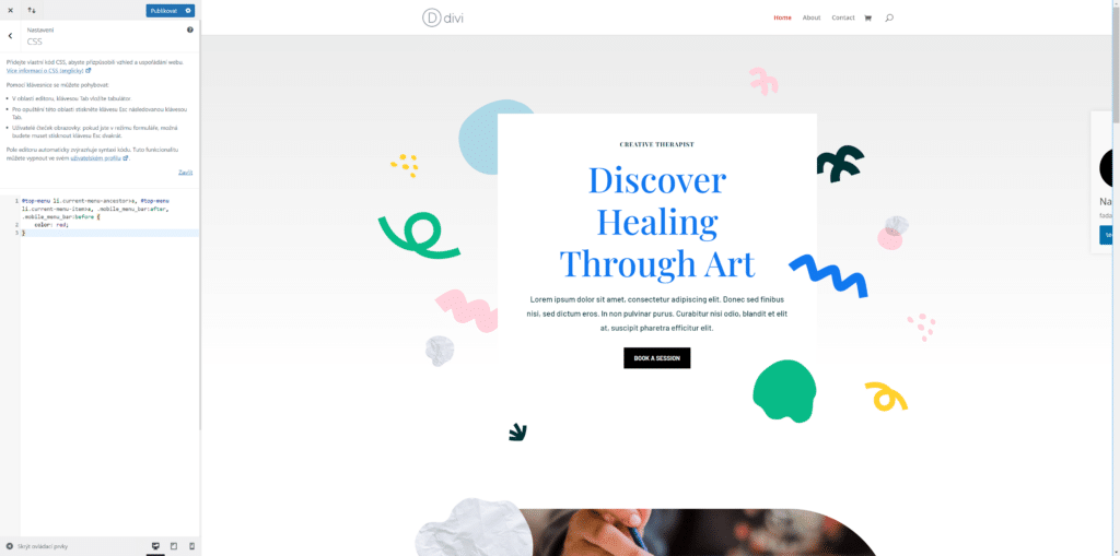 WordPress CSS editor