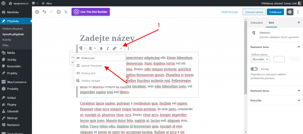 Vložení speciálních znaků u Gutenberg editoru