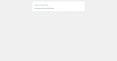 WordPress chyba Na webu došlo k závažné chybě