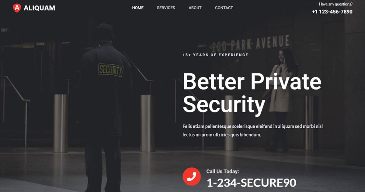 Náhled designu Security Services