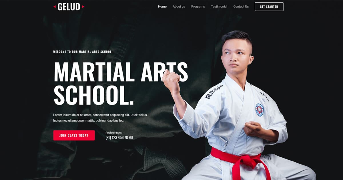 Náhled designu Martial Arts School