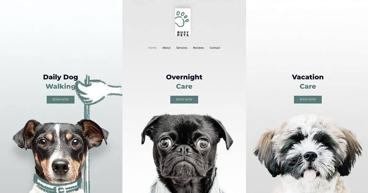 Náhled designu Pet Care