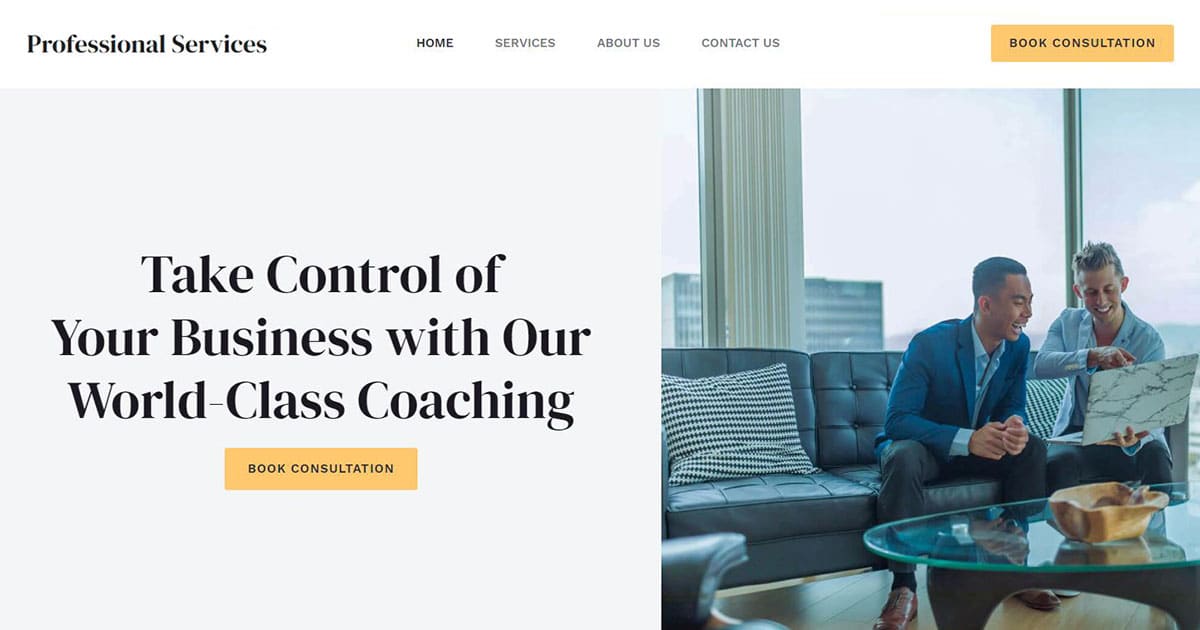 Náhled designu Professional Services