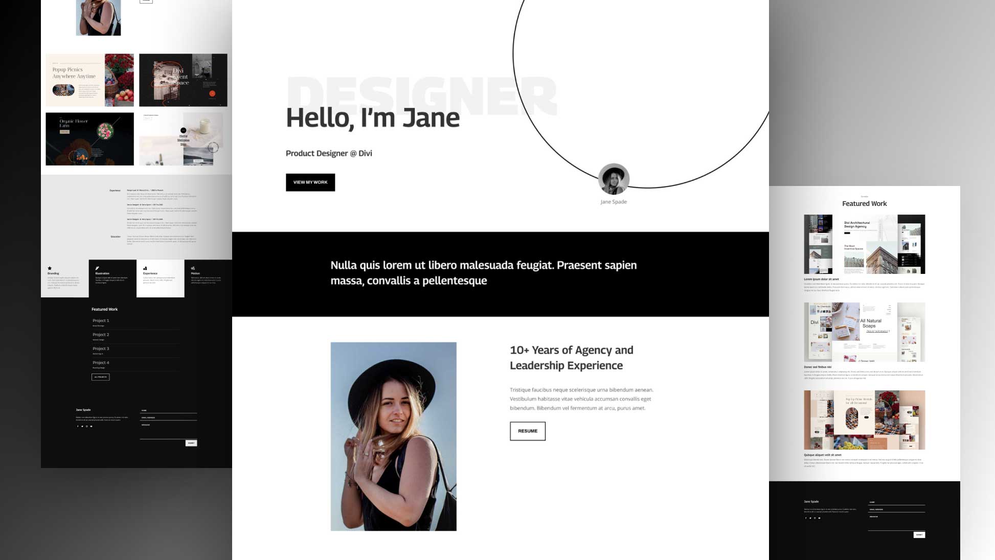 Náhled designu Portfolio